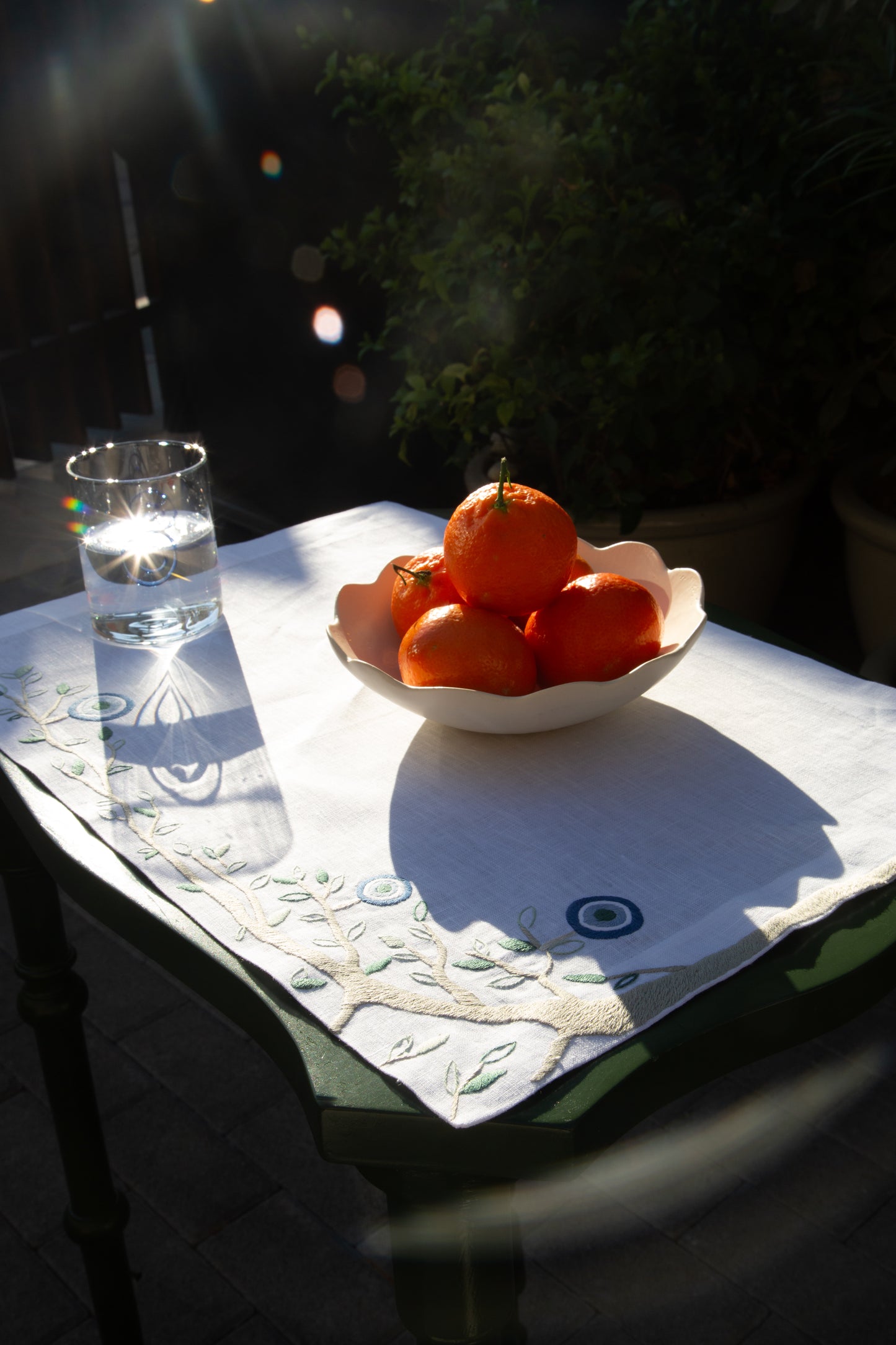 Protective Eye - Placemats